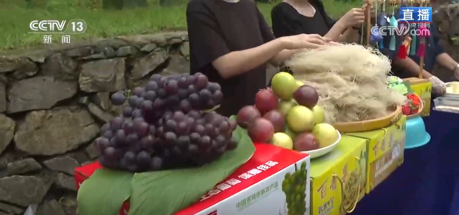解锁各地花样避暑新玩法 沉浸式体验绽放夏日消费活力