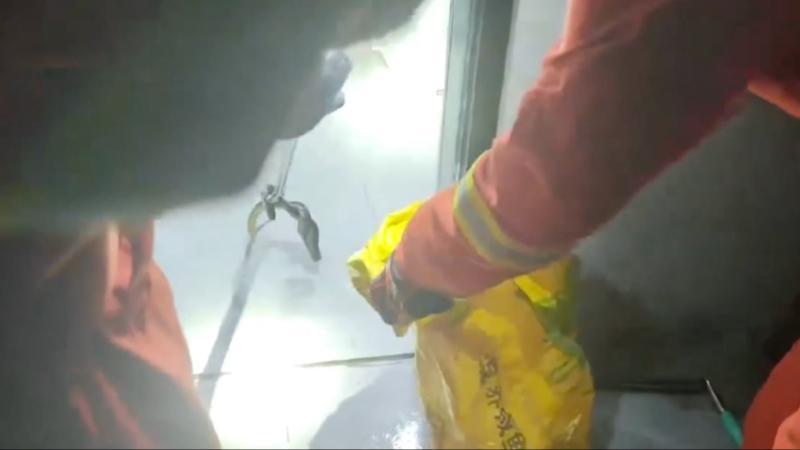 江西吉安：眼镜蛇藏身洗手间 消防紧急处置