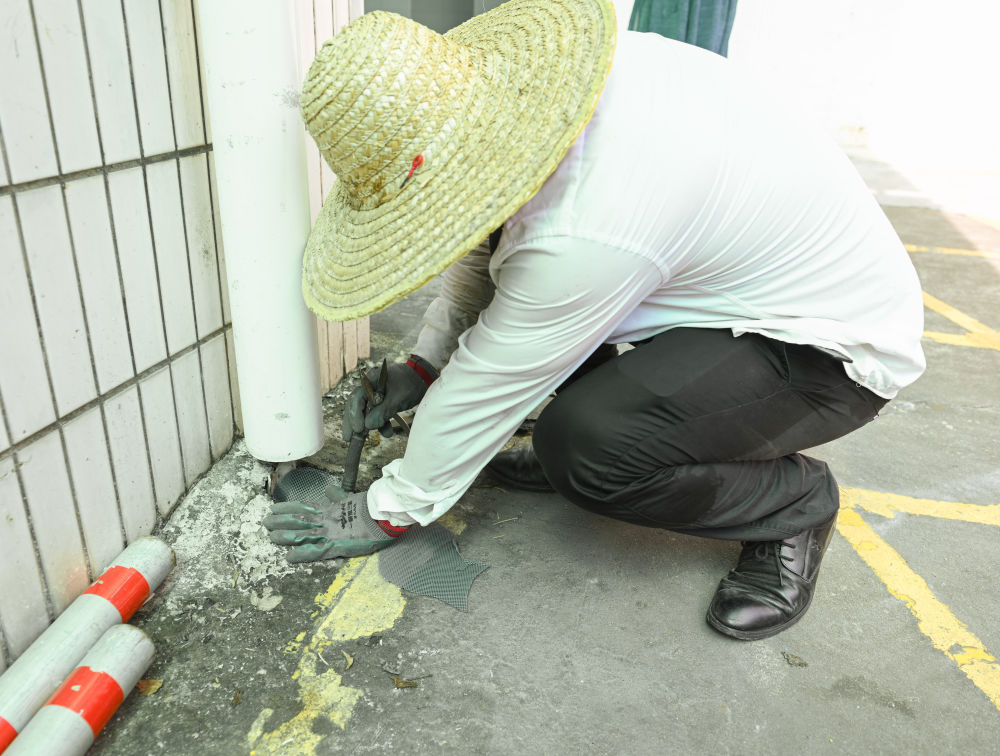 关于基孔肯雅热：会人传人吗？如何防？