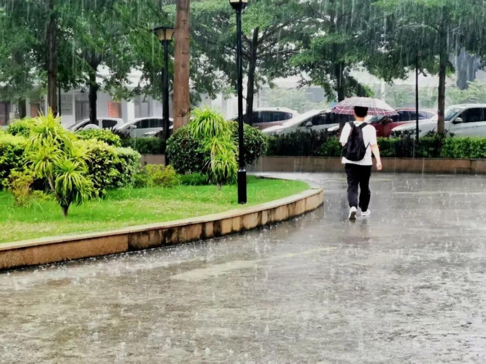 大雨、暴雨！福建连发65个预警！注意防范