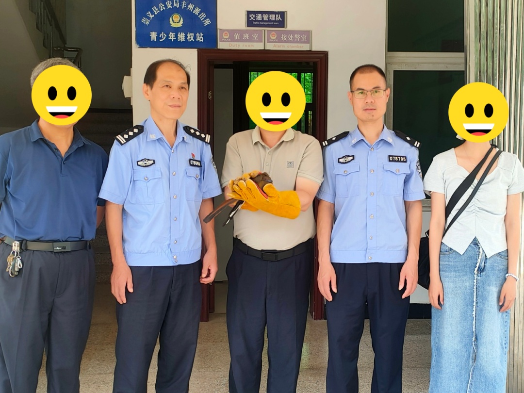 落难“萌”禽接连出没!警民携手暖心救助 落难“萌”禽接连出没!警民携手暖心救助
