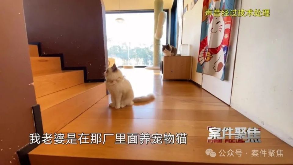 炸裂！女子清空“闺蜜”17万工资，骗男友55万还拉丈夫演“大舅哥”