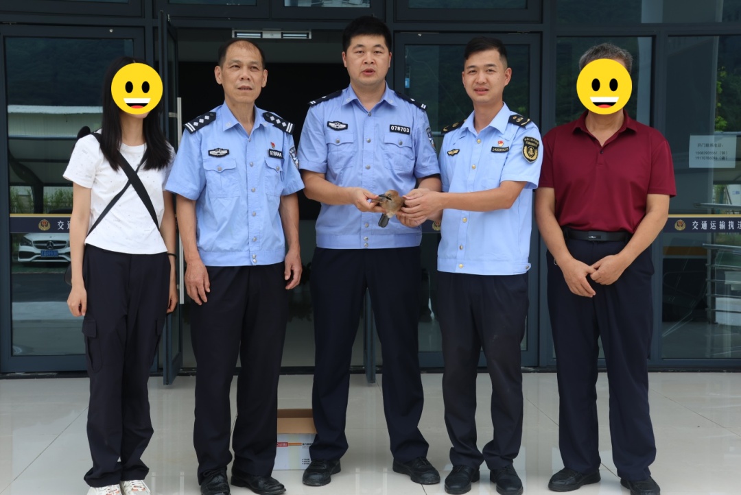 落难“萌”禽接连出没!警民携手暖心救助 落难“萌”禽接连出没!警民携手暖心救助