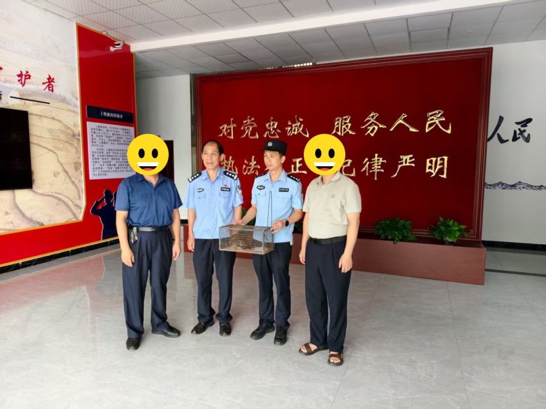 落难“萌”禽接连出没!警民携手暖心救助 落难“萌”禽接连出没!警民携手暖心救助