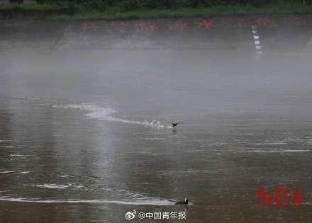 暴雨和水库泄洪后 密云白河雾气升腾