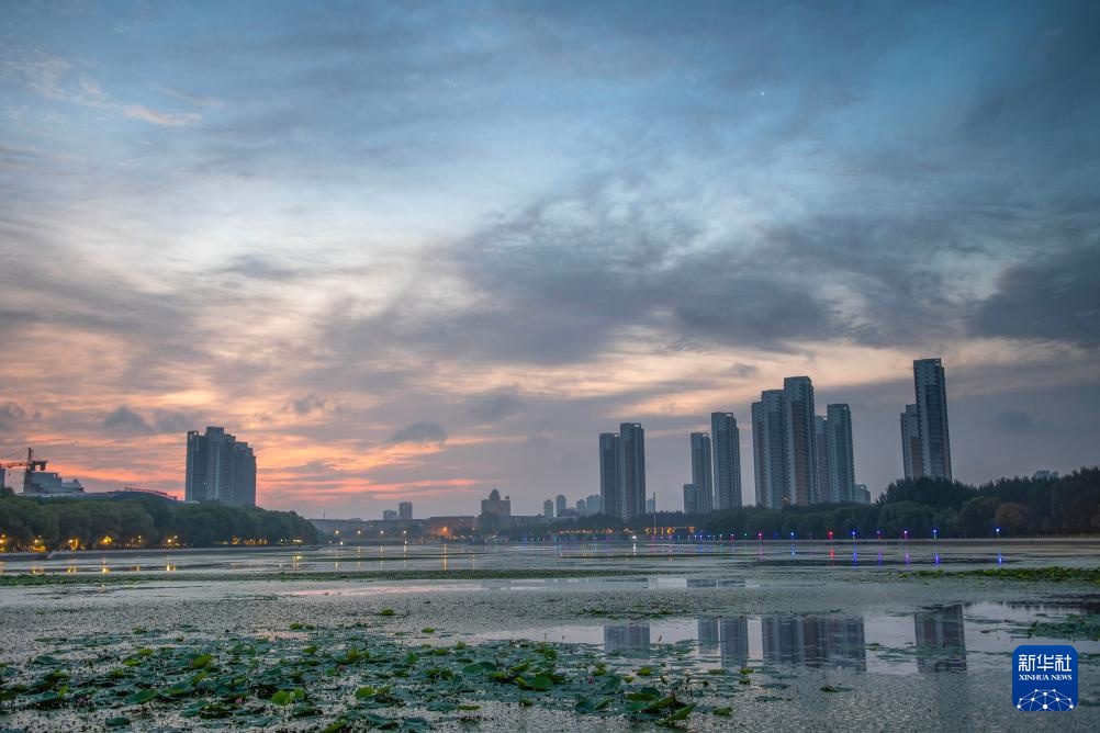星空相册｜全年“最高”启明星闪耀天宇