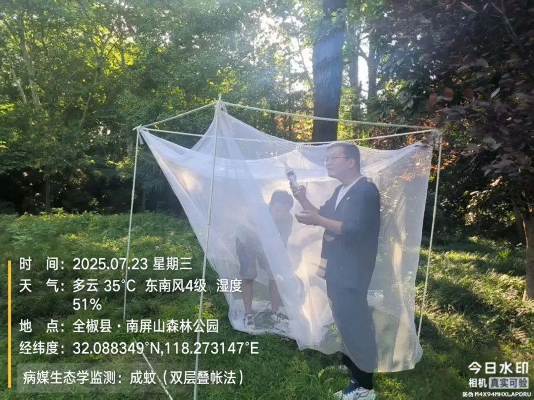 安徽哪里“花蚊子”多? 安徽哪里“花蚊子”多?