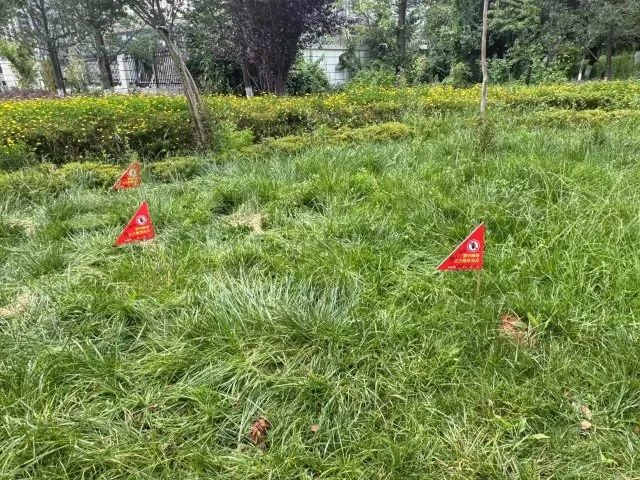 危险！远离！昆明正在进行灭杀