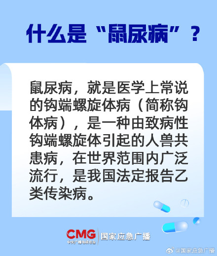 致死率高达70%！警惕藏在积水里的传染病