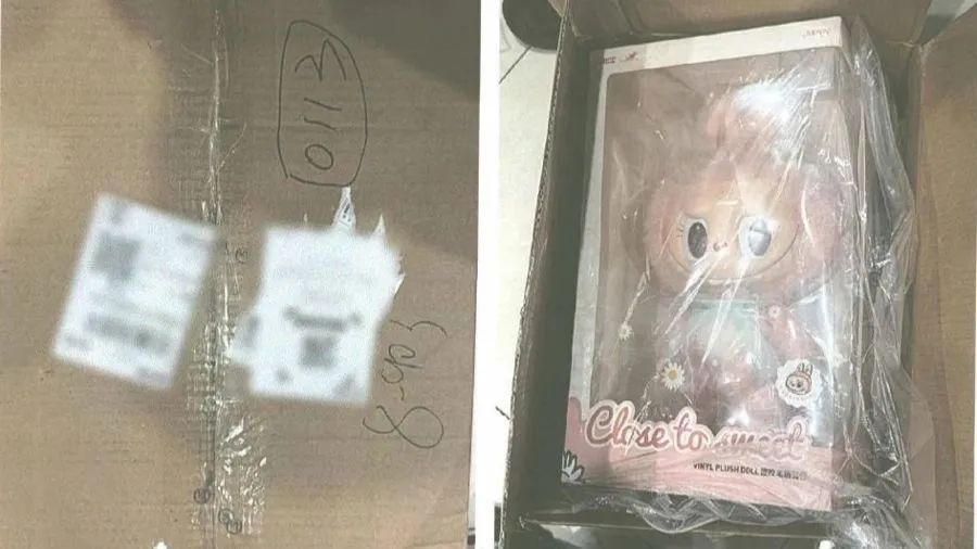 上海多人被骗！女子傻眼：花13万买二手名牌包，到手变LABUBU？此人专挑同行下手…