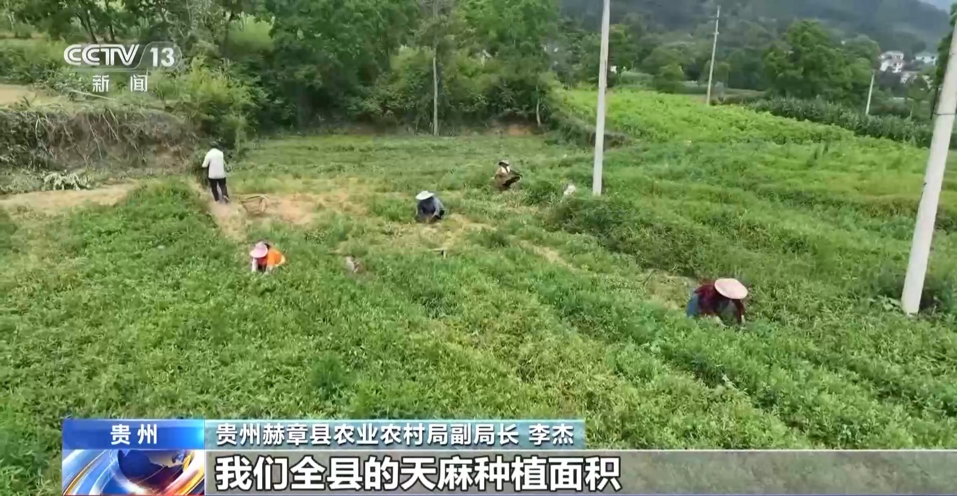 年中经济观察丨曾经脱贫攻坚的“硬骨头” 如今发生了哪些变化？