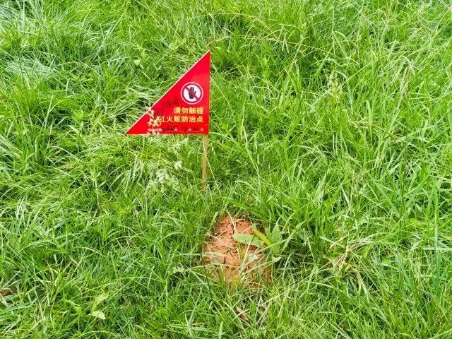 危险！远离！昆明正在进行灭杀