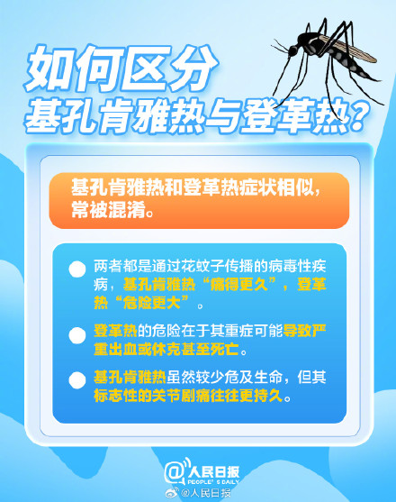转扩！关于基孔肯雅热你应知道