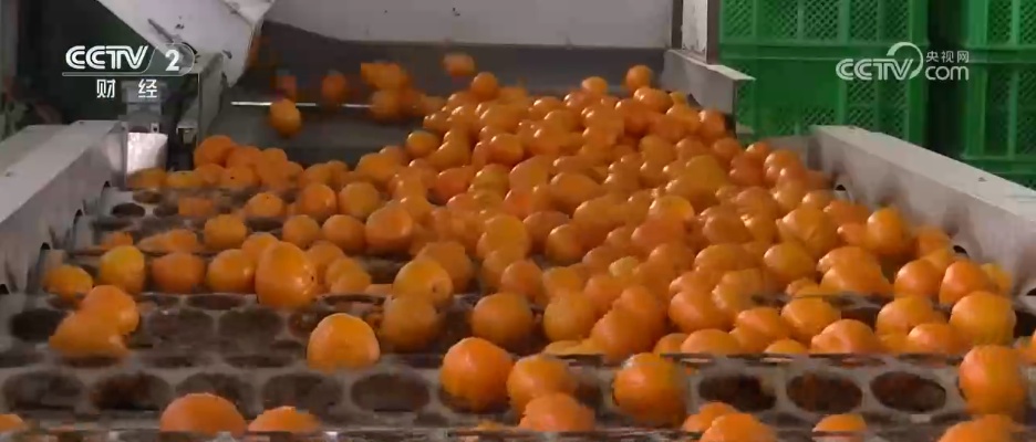 扩总量、促优质 丰富大众“菜篮子”“果盘子” 以多元供给守护“舌尖”上的品质