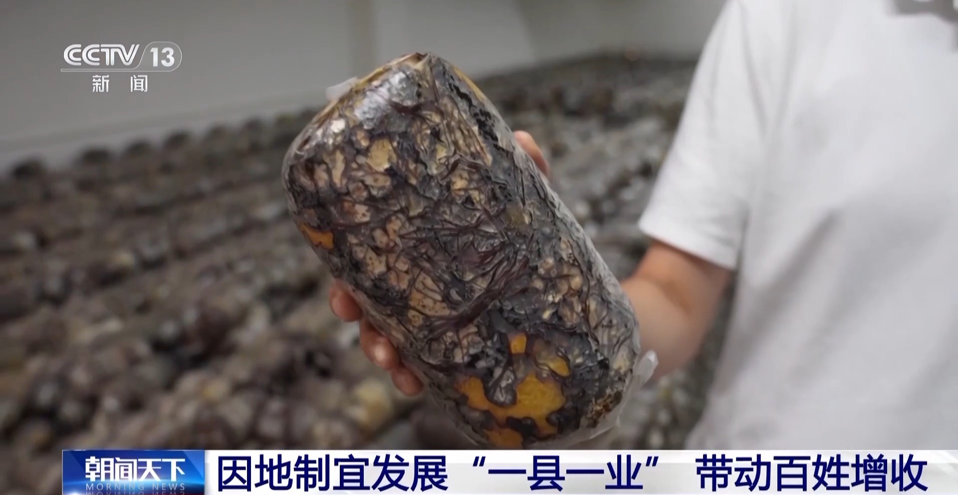 年中经济观察丨曾经脱贫攻坚的“硬骨头” 如今发生了哪些变化？