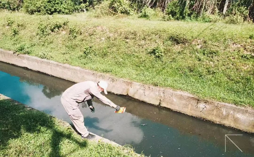海口将开展统一消杀作业！具体时间→