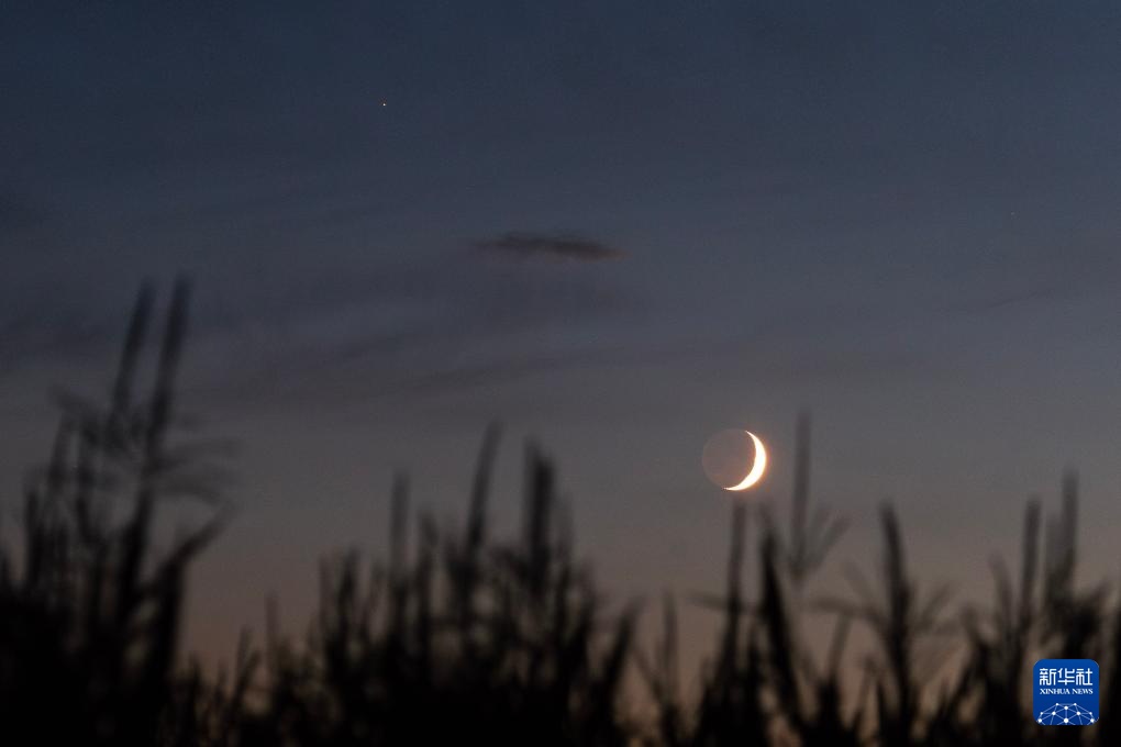 夜空上演火星伴月