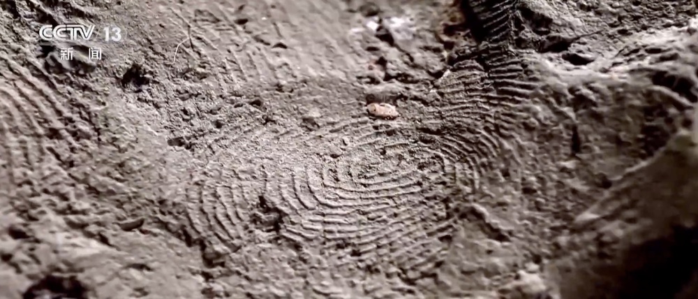 指纹显示，未成年人参与了秦兵马俑的制作