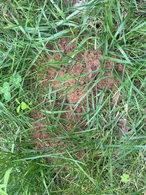 危险！远离！昆明正在进行灭杀