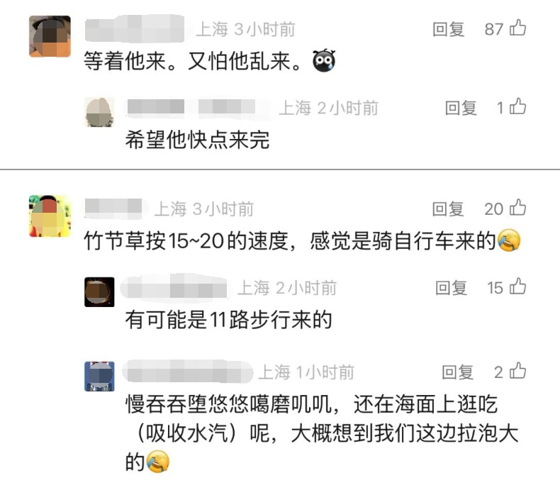 二次登陆上海地点有变！部分高铁停运、航班取消、景点关闭，暴雨主要在这个时段→