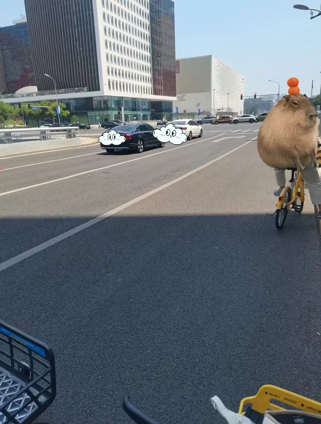 夏日街头再现“避晒式停车”？交警：已有城市对此罚款