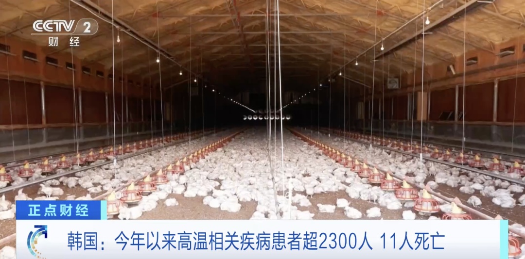 鱼类集体死亡!超百万家禽、家畜热死!这一国,拉响“高温警报”→ 鱼类集体死亡!超百万家禽、家畜热死!这一国,拉响“高温警报”→