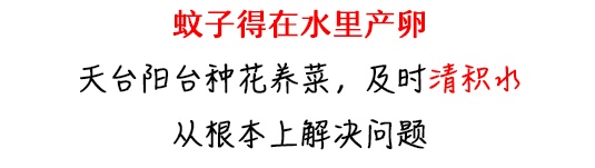 住高层就没蚊子了？蚊子：你猜我能飞多高？