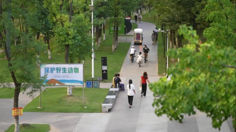 江西上饶：滩涂变绿廊 城市“绿心”秀美如画