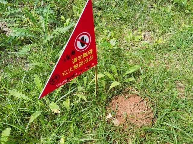 危险！远离！昆明正在进行灭杀