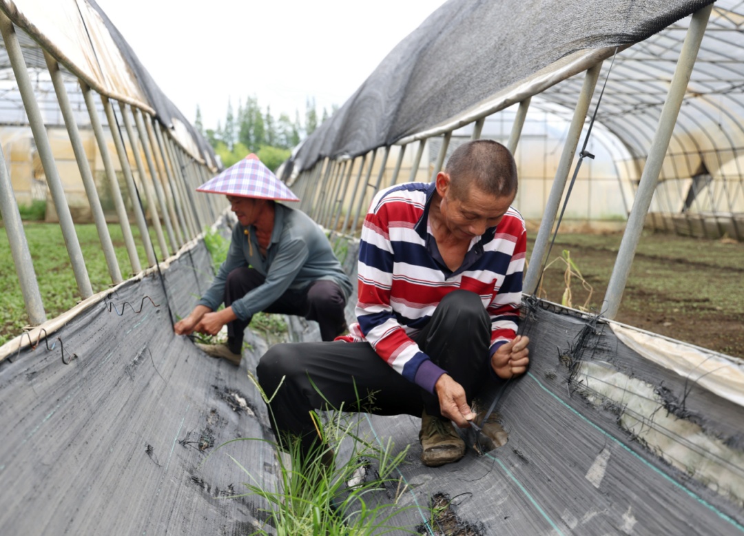 二次登陆上海地点有变！部分高铁停运、航班取消、景点关闭，暴雨主要在这个时段→