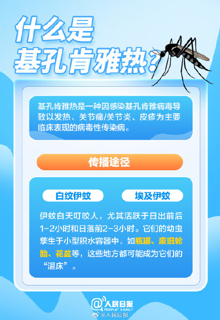 转扩！关于基孔肯雅热你应知道