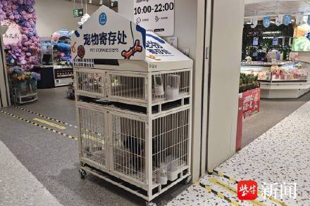 南京一宠物友好商场被曝存在遛狗不牵绳 南京一宠物友好商场被曝存在遛狗不牵绳