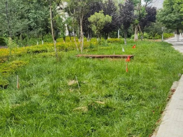 危险！远离！昆明正在进行灭杀