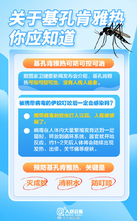 转扩！关于基孔肯雅热你应知道