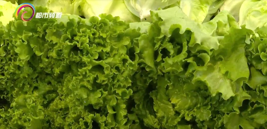 生菜卷烤肉正流行？医生紧急提醒：小心感染这种病……