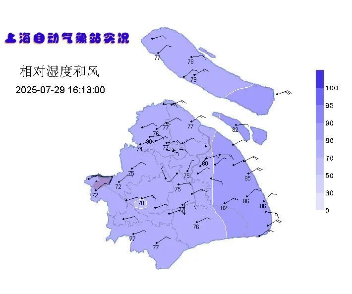 “竹节草”路径现两种可能,上海今夜起迎核心风雨时段! “竹节草”路径现两种可能,上海今夜起迎核心风雨时段!