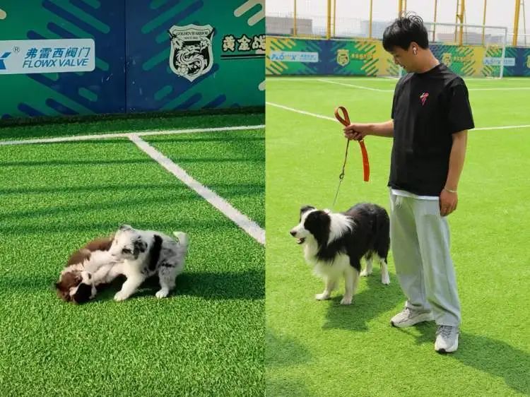 上海市民美育“日夜兼程”:夜校推出萌宠、AI课,还全新增加日校模式 上海市民美育“日夜兼程”:夜校推出萌宠、AI课,还全新增加日校模式