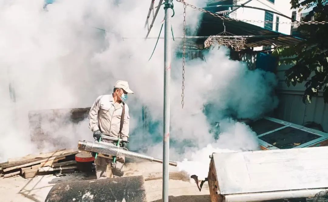 海口将开展统一消杀作业！具体时间→