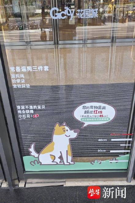 南京一宠物友好商场被曝存在遛狗不牵绳 南京一宠物友好商场被曝存在遛狗不牵绳