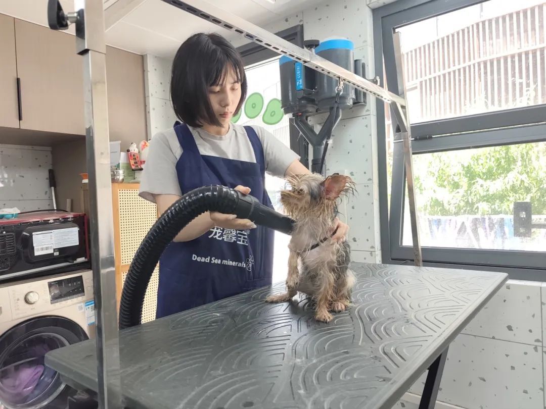 一天赚100元？！镇江这个市场爆火or踩坑？