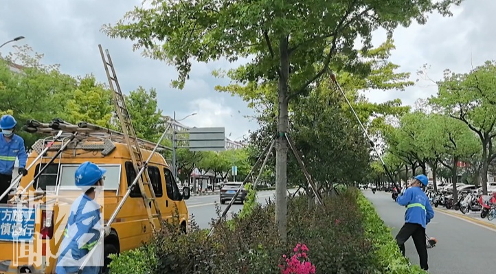 上海人今晚早点回家！台风正在加强！一区已做好停课、停工等准备！