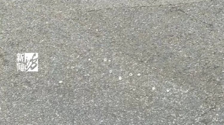 上海这条马路啥情况?比容嬷嬷还扎?有路人差点戳破脚... 上海这条马路啥情况?比容嬷嬷还扎?有路人差点戳破脚...