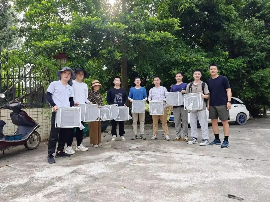 “以蚊治蚊”战基孔肯雅热！中大团队将以绝育雄蚊与“蚊子天敌”守护佛山