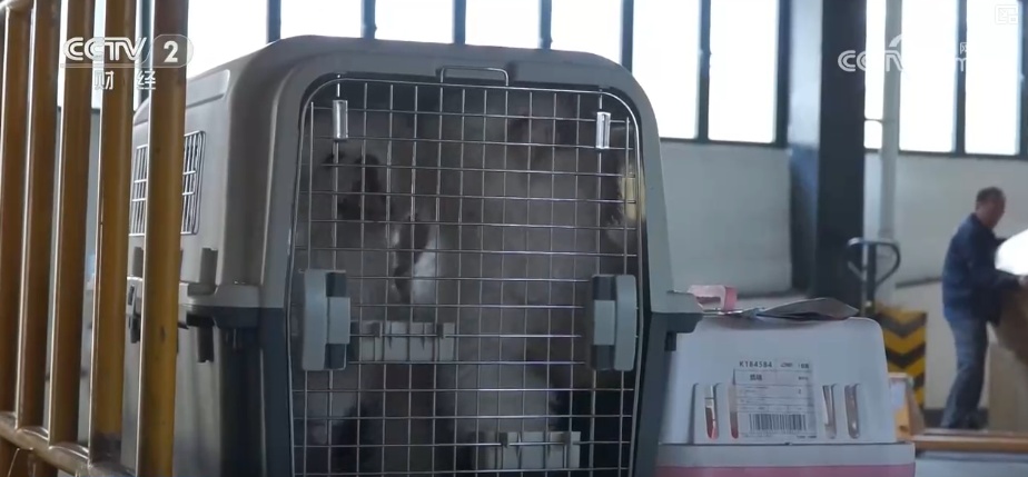 推着自行车上火车、晚上睡觉白天游玩 特色服务让山水之约有了全新打开方式 推着自行车上火车、晚上睡觉白天游玩 特色服务让山水之约有了全新打开方式