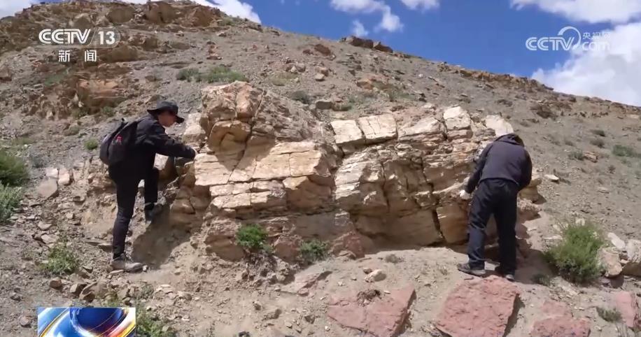 探寻地质奥秘，开启科学之门，你准备好了吗？