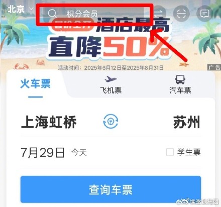 如何通过铁路12306APP查询停运车次信息