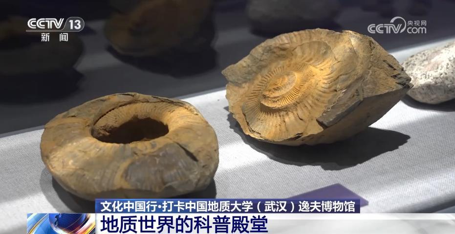 探寻地质奥秘，开启科学之门，你准备好了吗？