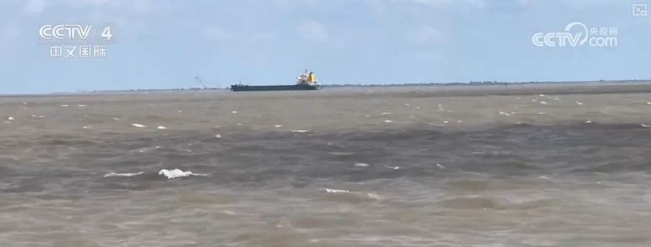 智慧海事平台助力 各地提前部署多举措应对台风“竹节草” 智慧海事平台助力 各地提前部署多举措应对台风“竹节草”