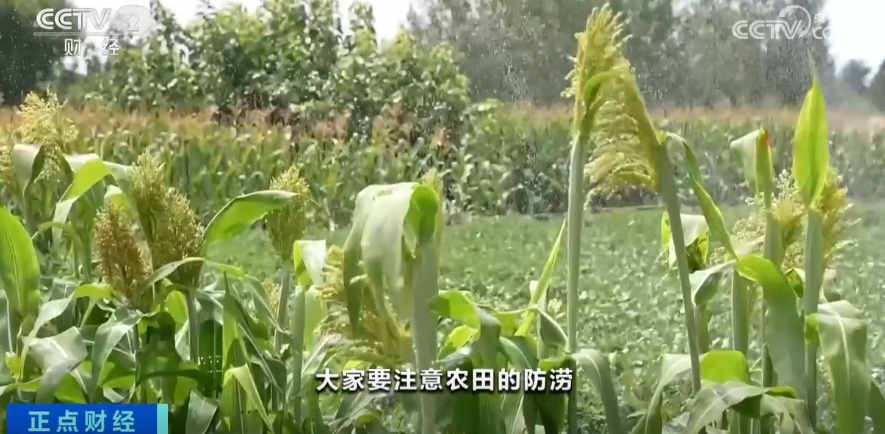 4天下了近1年的雨！北京这场雨为何如此极端？专家解读→