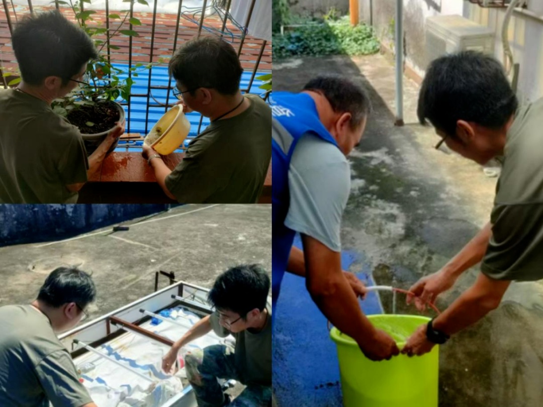 关节剧痛+全身起疹子！警惕这个夏天最毒的“热”